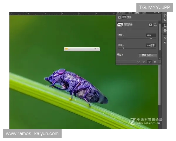 数字底片后期处理全流程精讲与色彩管理锐化降噪实战指南进阶技巧与案例