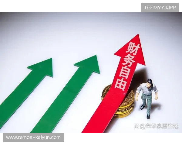 自由职业者财务风险管理策略与应对方法分析