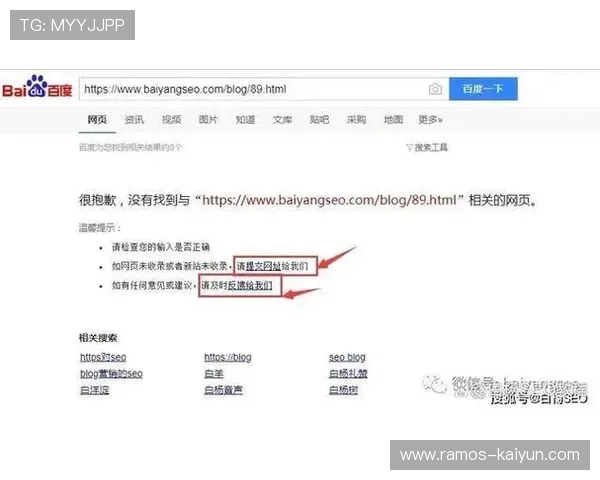 百度收录快速通道优化策略如何提高网站收录效率和排名